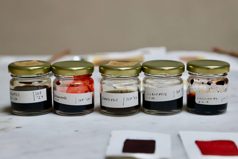 How to make paint from plants
