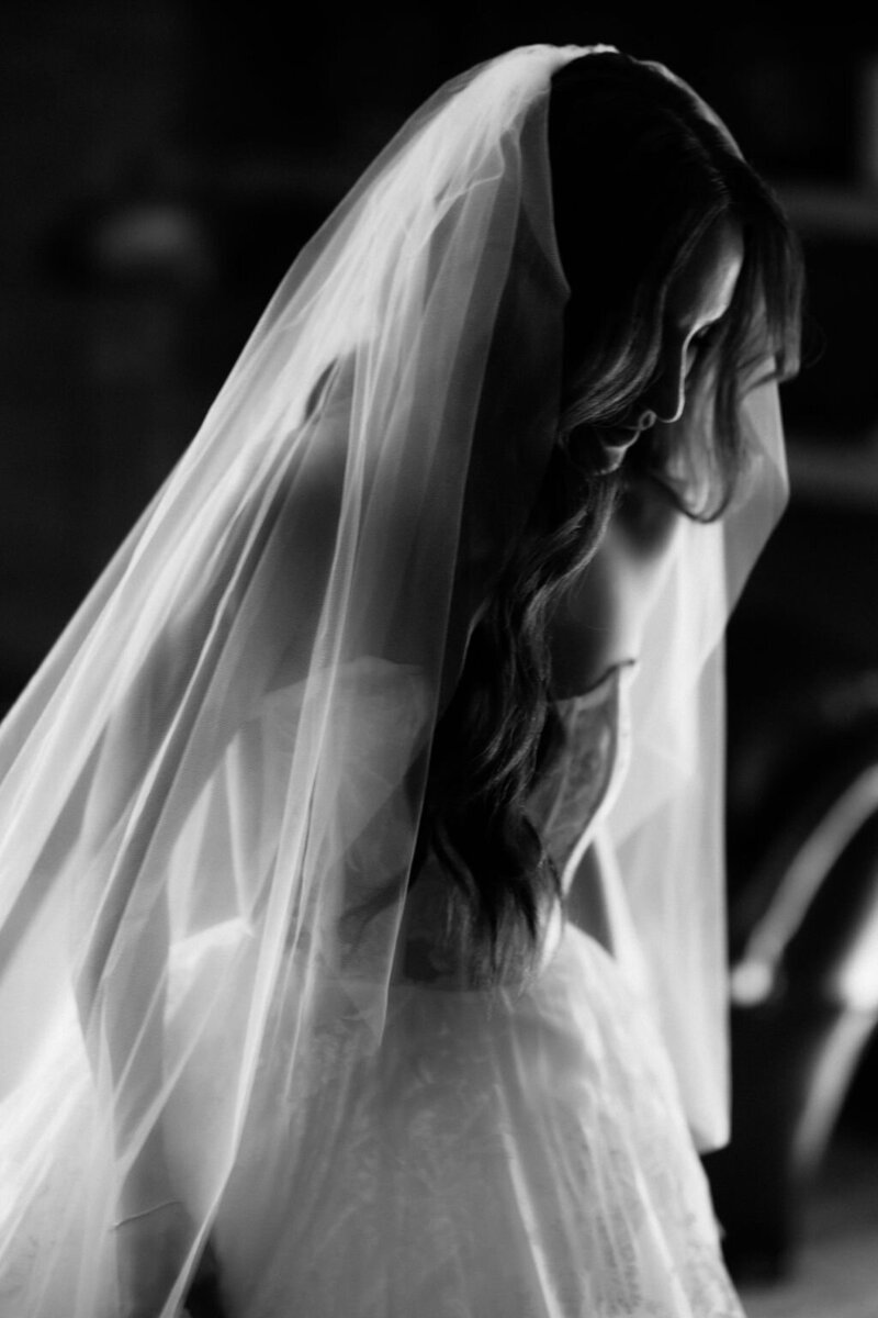 Beautiful Bride