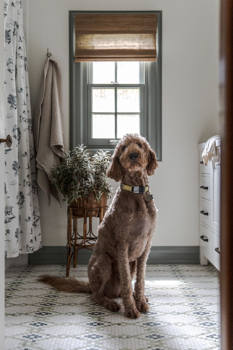 SIL & PARK - Cleveland Interior Designer - Home Design Renovation - 34