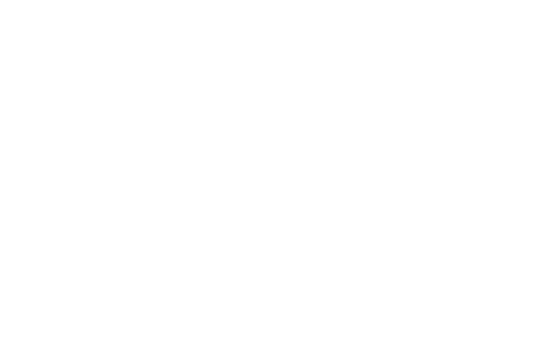 The Tallest Tulip white logo
