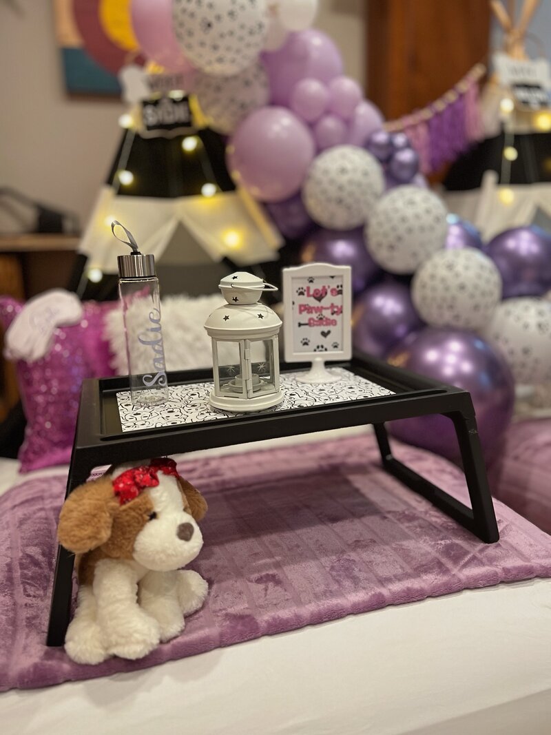 birthday-party-rentals-denver-5