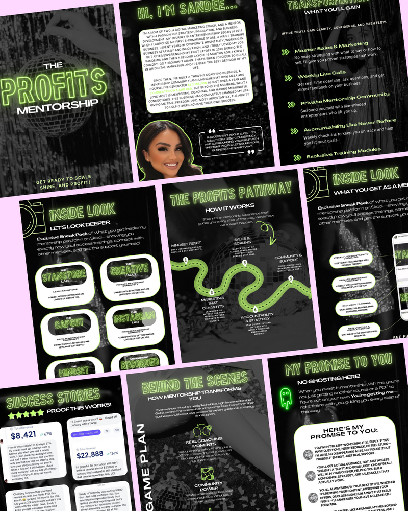 Sneak Peek Guide for Sandee's Mentorship Platform