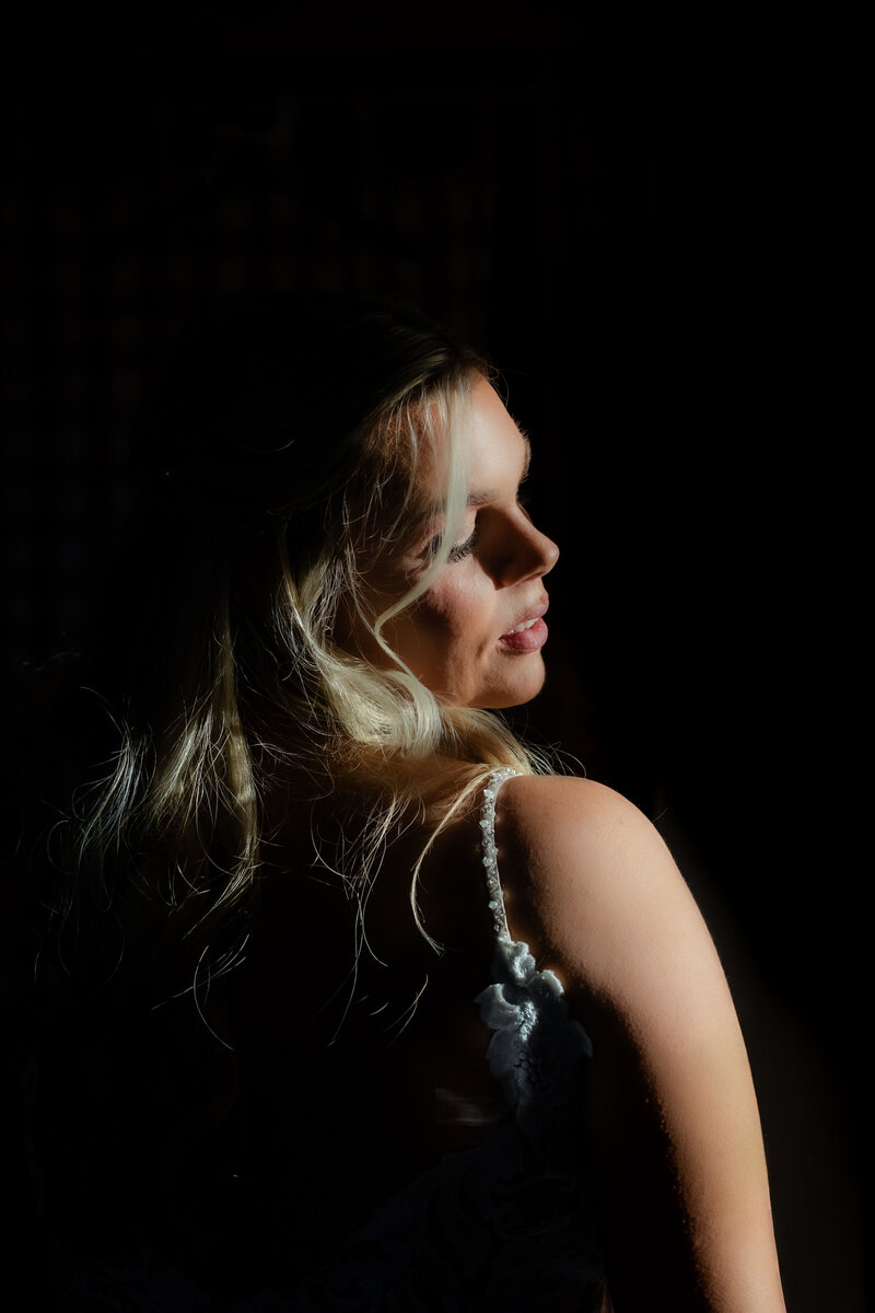 bridal-portrait-dramatic-light-lisa-gilbert-photography