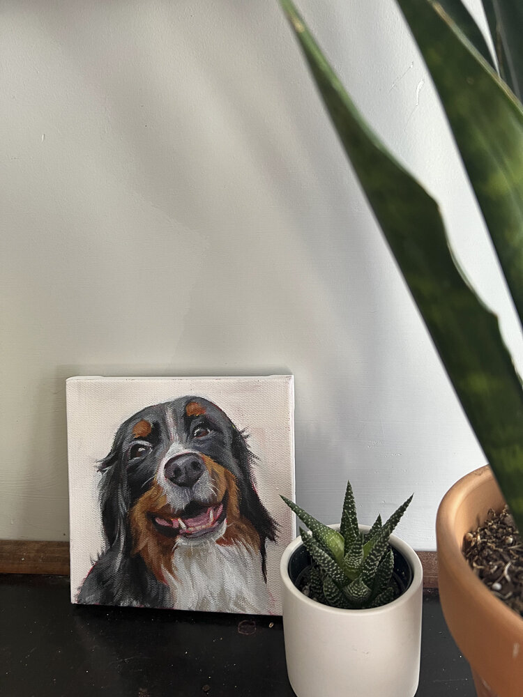Happy dog on a canvas with plants