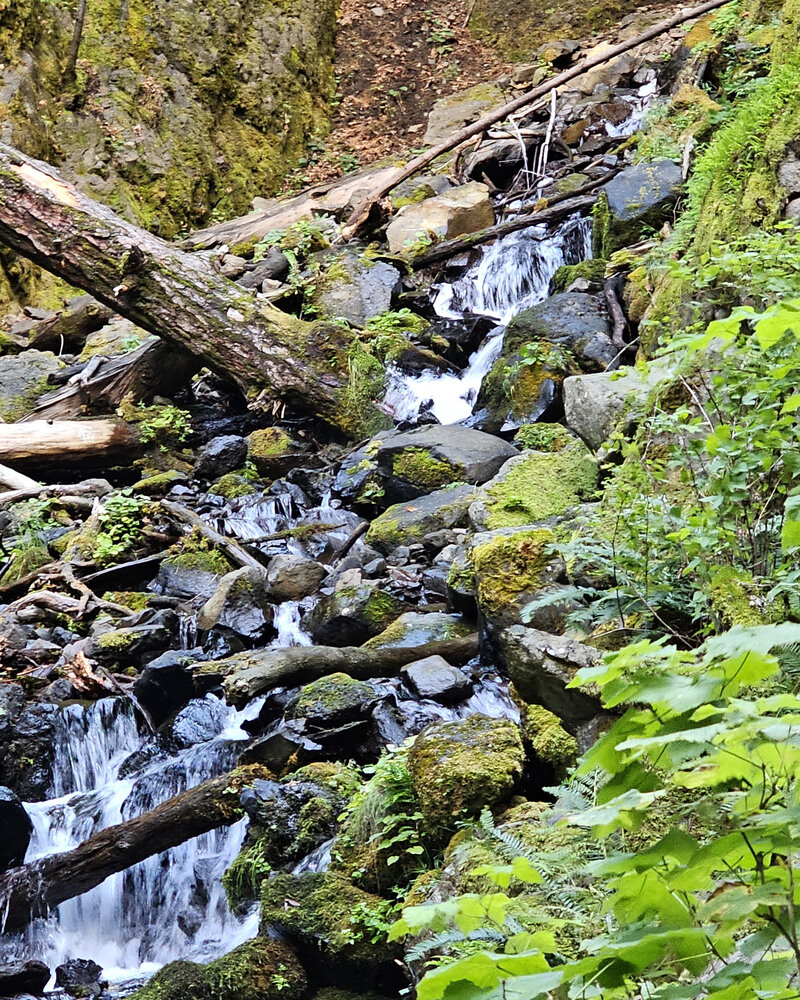 Witness vibrant and majestic displays of nature coming alive at Viento State Park with The Gorge E-Bike Adventure Rentals