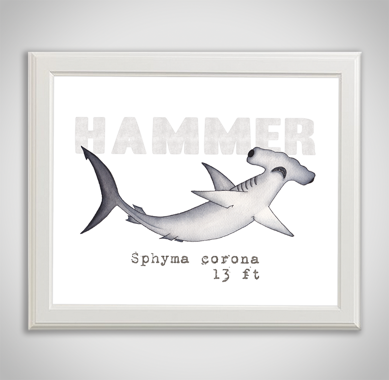 hammer-framed