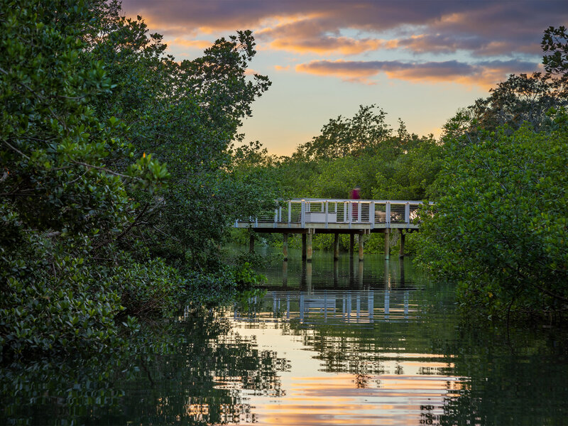 Sweet Sparkman Architecture The Nest at The Bay Landscape 7