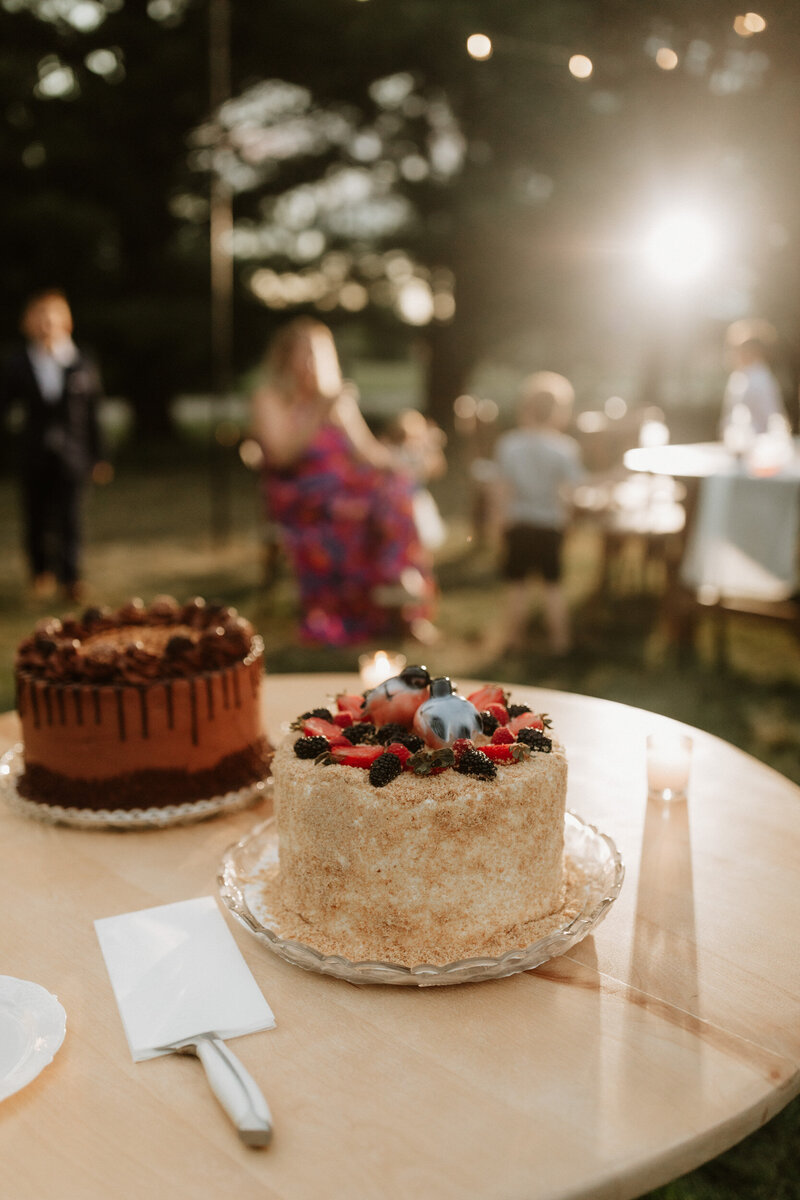 illinois chicago backyard intimate wedding northwest indiana photographer videographer film documentary lisle hyatt regency hotel charles-81
