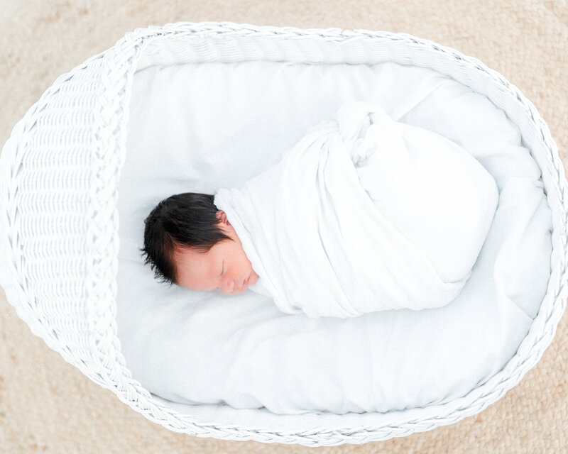 Enterprise Alabama Newborn Photography Pricing