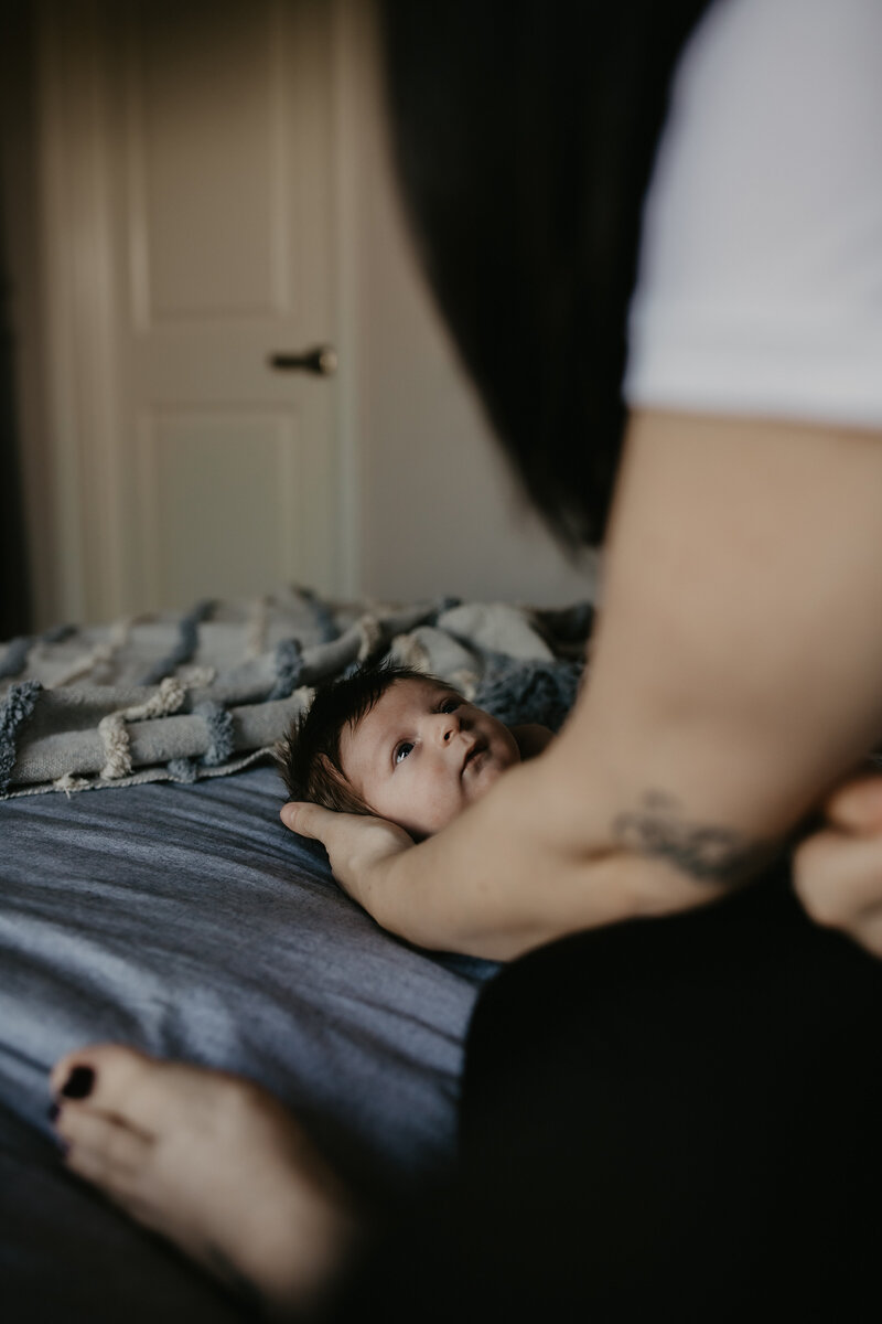 rex newborn39