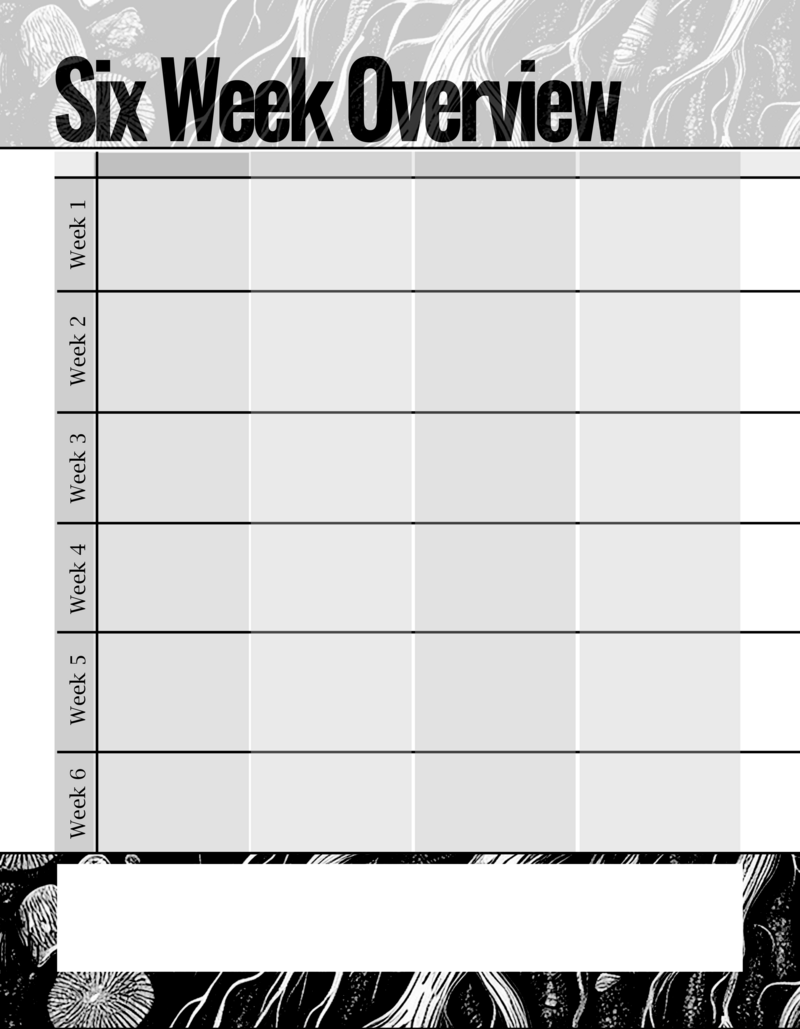Homeschool Planner Master Pages - Bare Bones Margins Edit16
