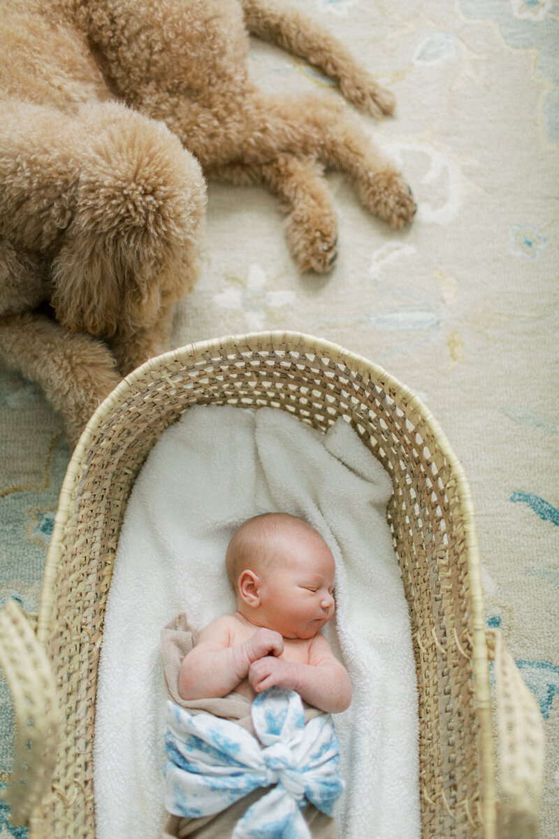 Theo_Sellstrom_Newborn_Photos_2024_109