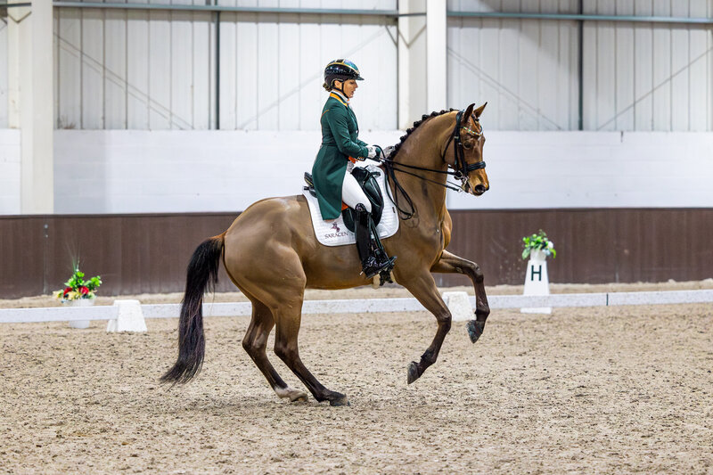 Abi Lyle riding a canter pirouette on a bay Grand Prix horse at Addington in 2024