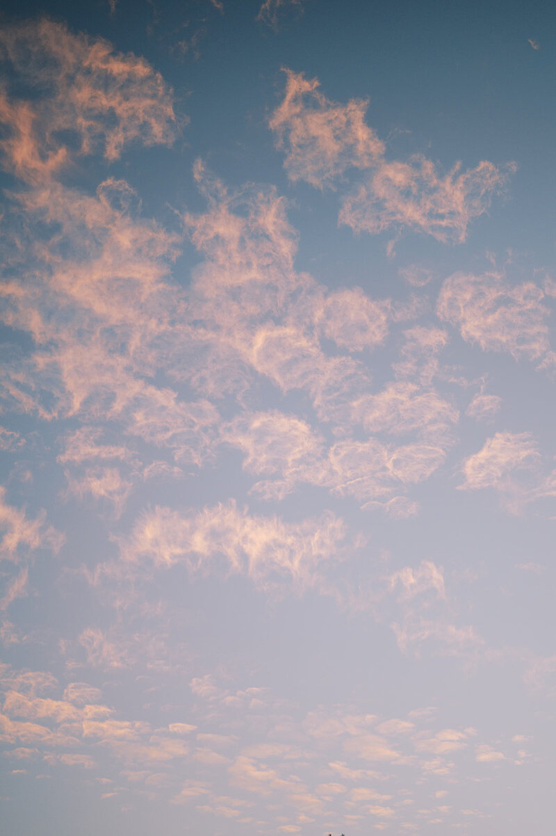 Nathanael Tenney Photography - Wardell-110