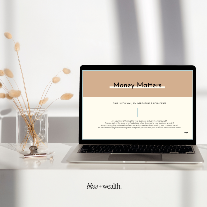 A macbook sits atop a white desk with a vase of dried flowers beside it displaying a Money Matters  course designed to help solopreneurs and small business owners transfer their mindset for business growth.