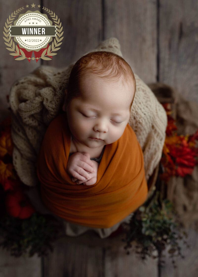 A peaceful, soulful moment - AFNS award- winning newborn portrait by Denise.