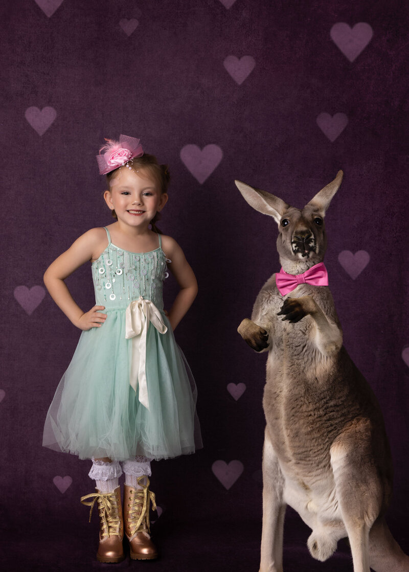 girl-in-ttdm-dress-wearing-tiny-pink-hat-in-studio-arlington-tx-standing-with-kangaroo-wearing-pink-bowtie