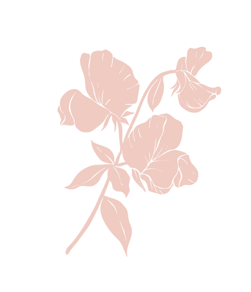 Pale pink floral branded icon