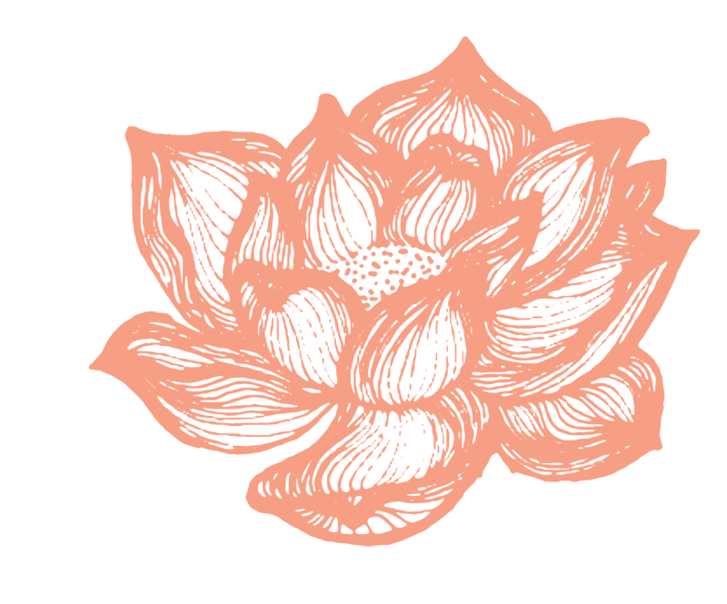 lotusflowersleaves-feanne-2014-flowers-buds