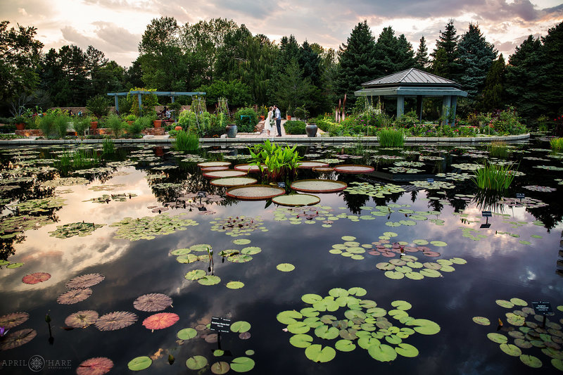 Denver Botanic Gardens Wedding Venue In Colorado