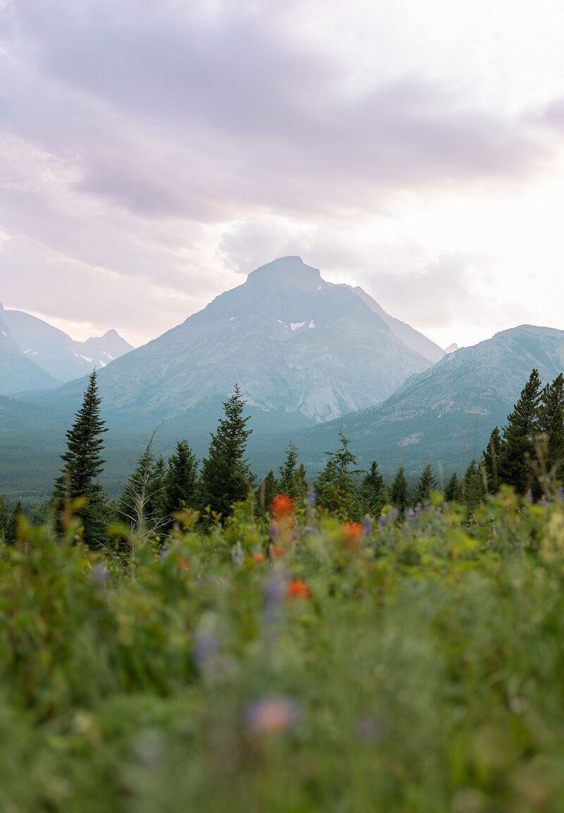 Glacier.Park.Elopement2164