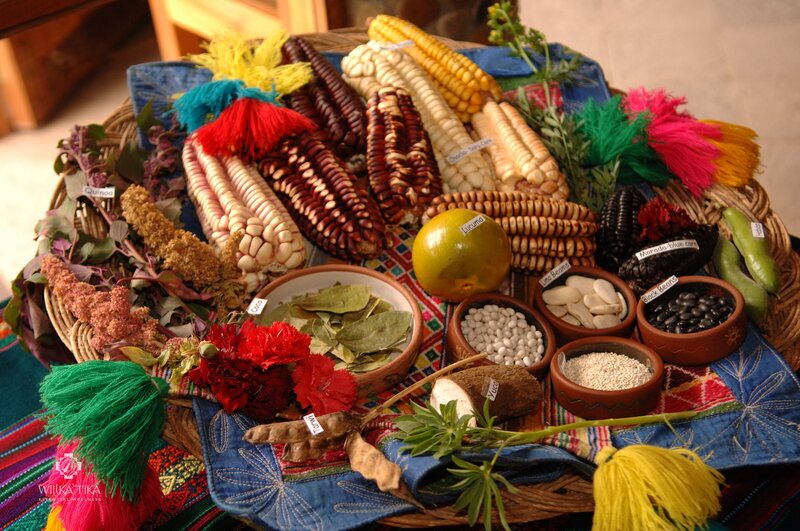 Food of the Andes