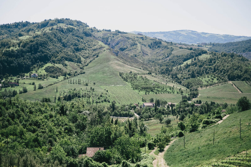 green hills in Italy