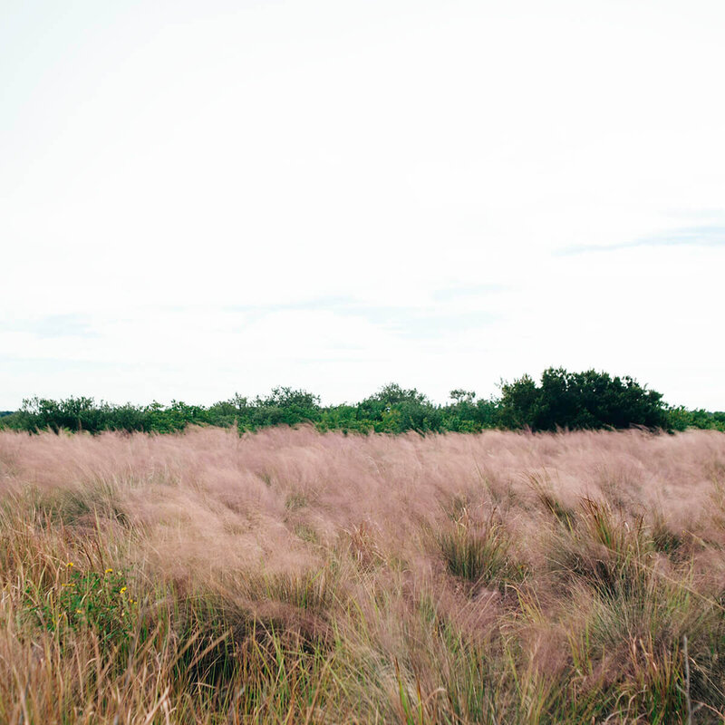 socialsquares_summerpinks12-1