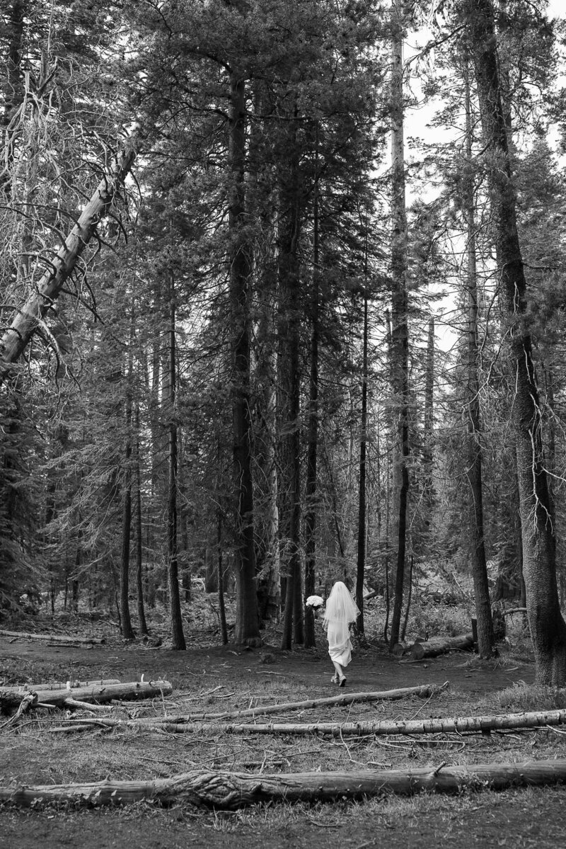 Morgan Lee photography- MB-21