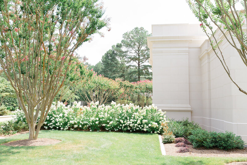 Catherine Gilmore Wedding Photographer Apex, NC Wedding 5