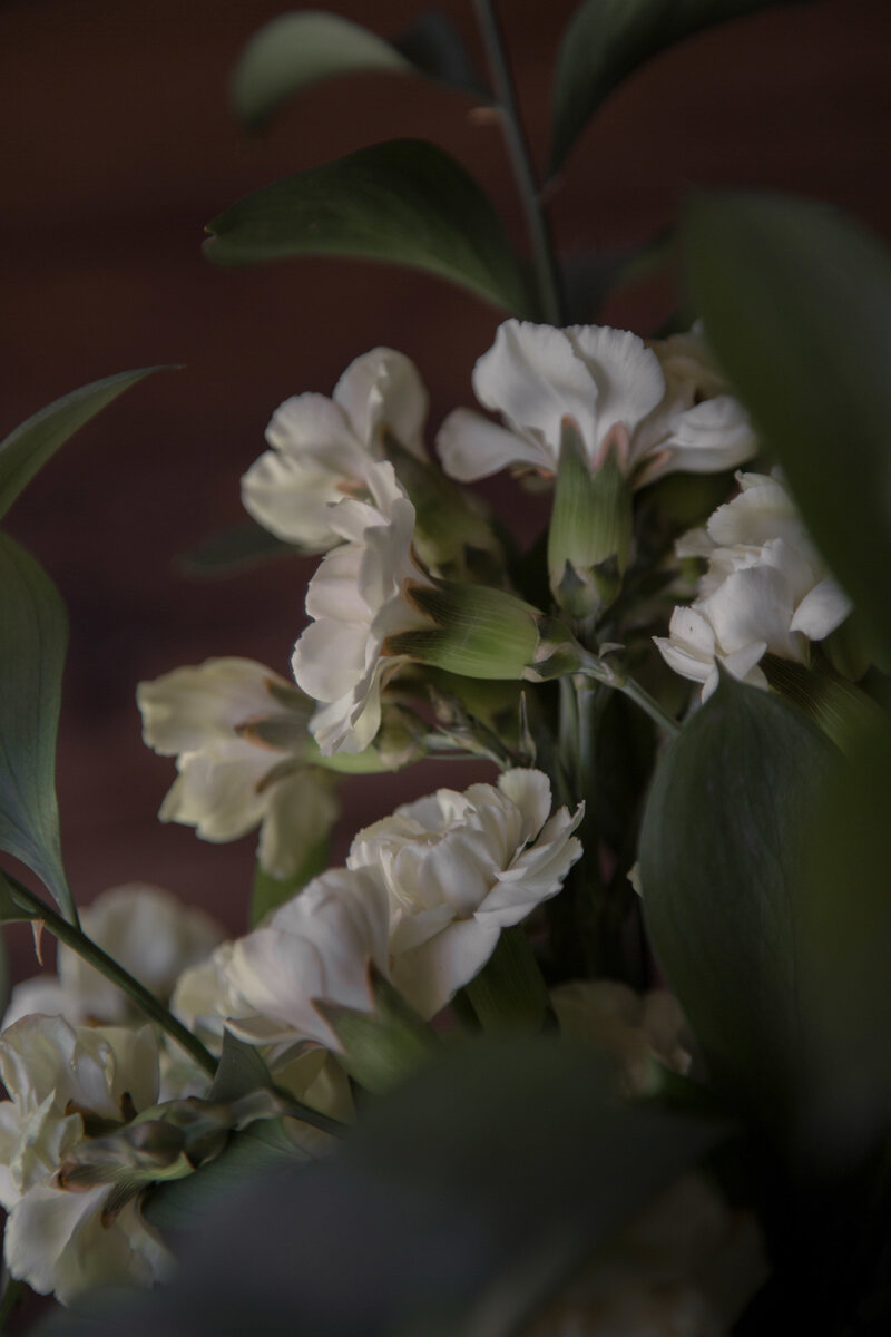 MoyoFreePhoto10