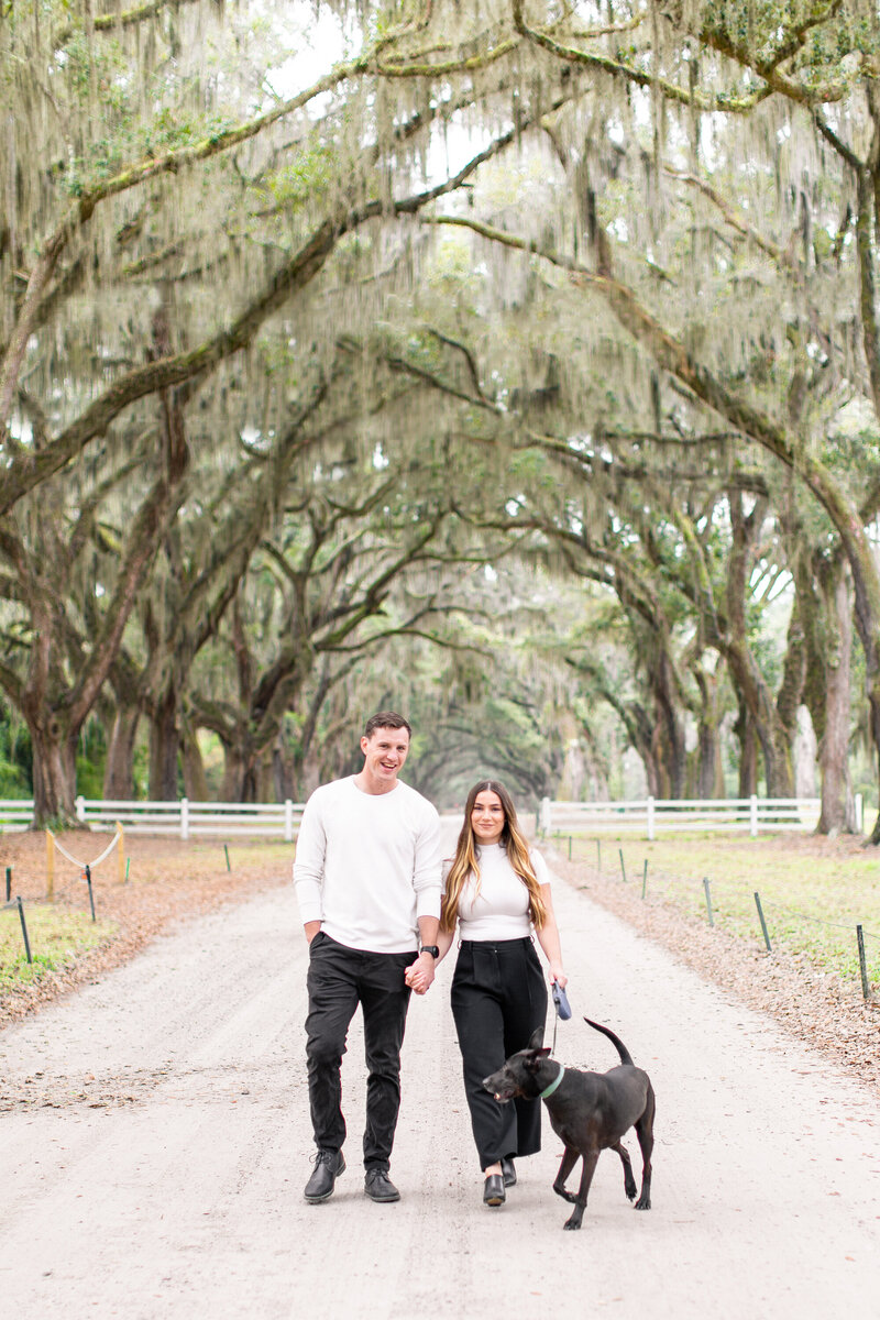 Amelia + Bryce  Wormsloe Engagement Session  Taylor Rose Photography-13