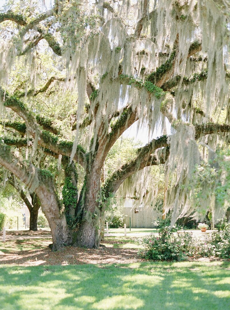 Jekyll-Island-Wedding-003