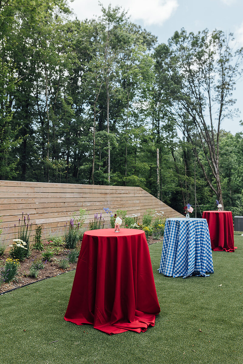 Gender Reveal Photos by Nellie Bradford Film Photographer-31