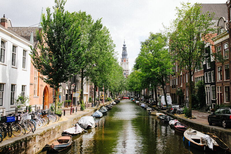 view of trees lining a canal in amsterdam