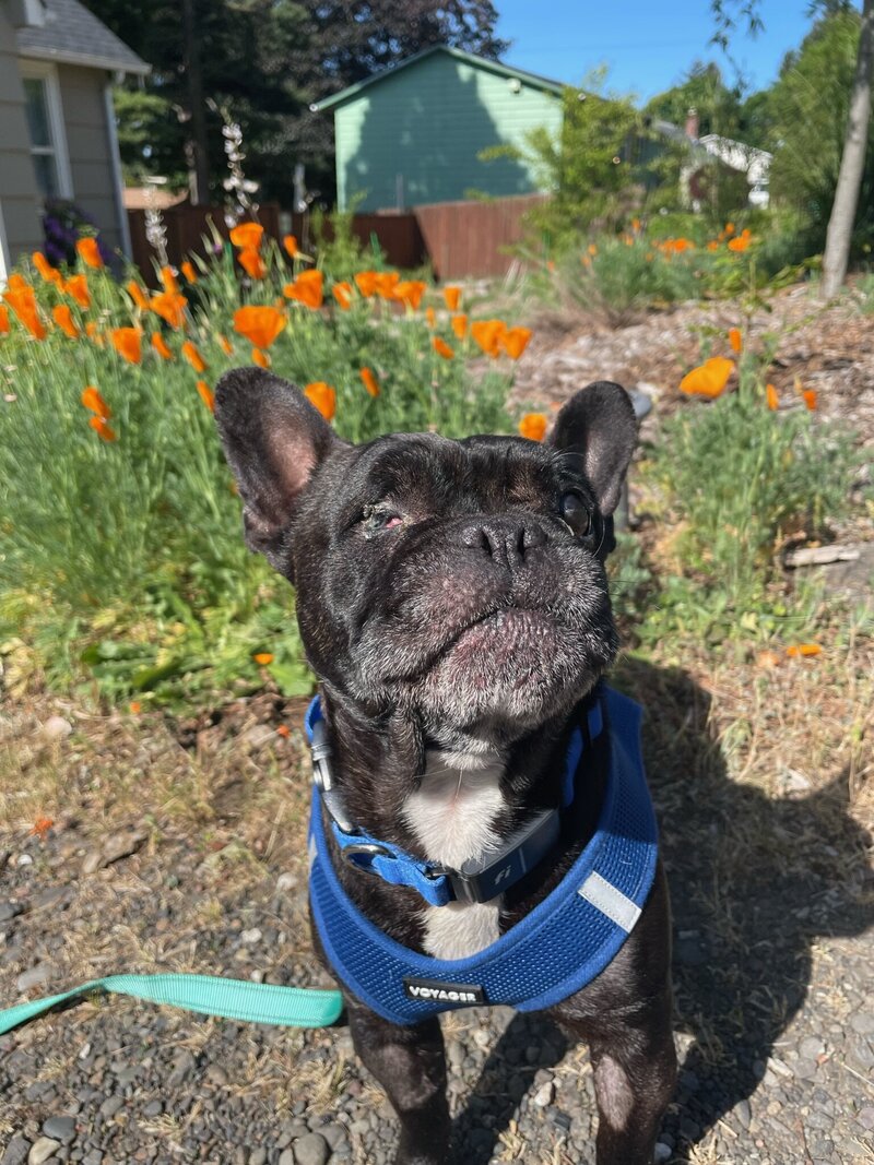 Fiona 2025 (2)