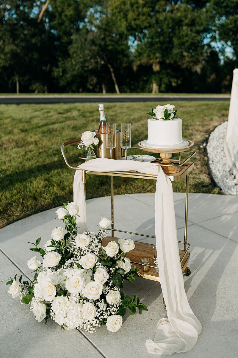 amber-mcwhorter-photo-whitehurst-elopement-chantilly-chic-celebrations-0461