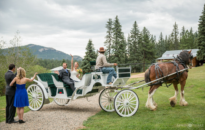 Couple rides in a horse drawn carriage at Mountain View Ranch in CO