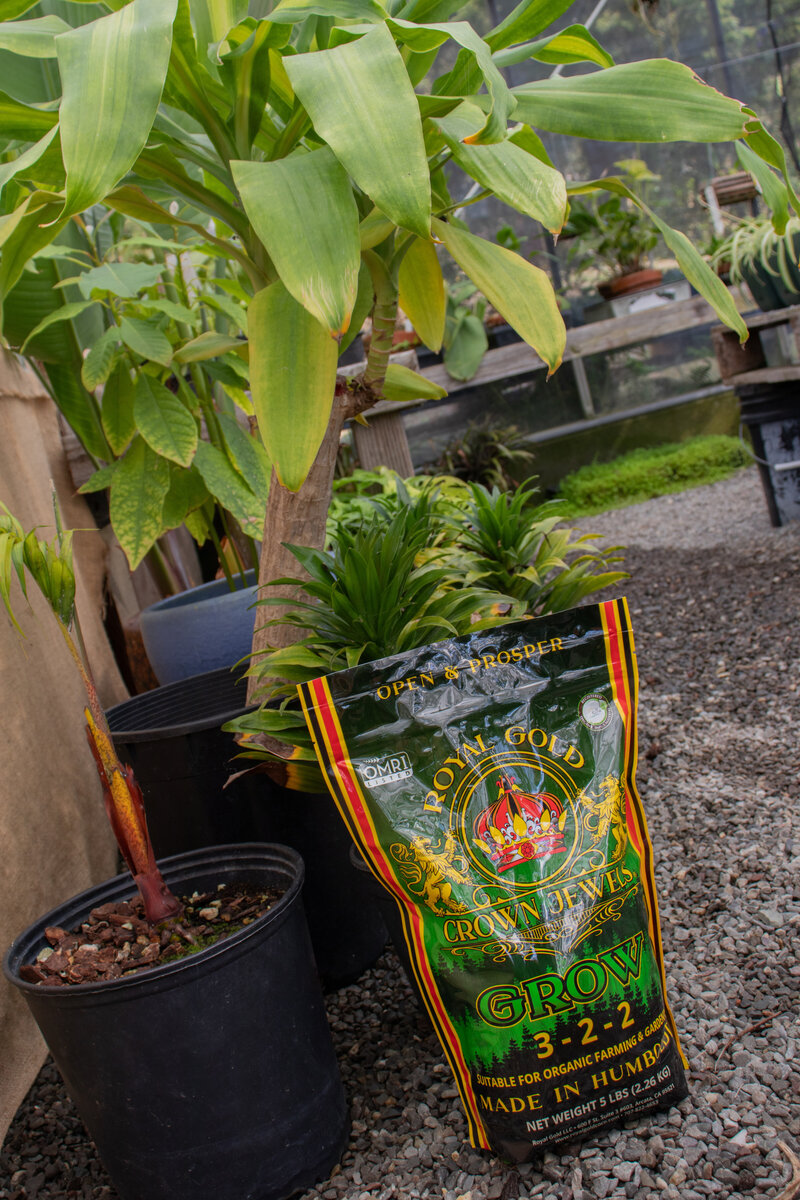 Crown Jewels Grow at the Humboldt Botanical Gardens