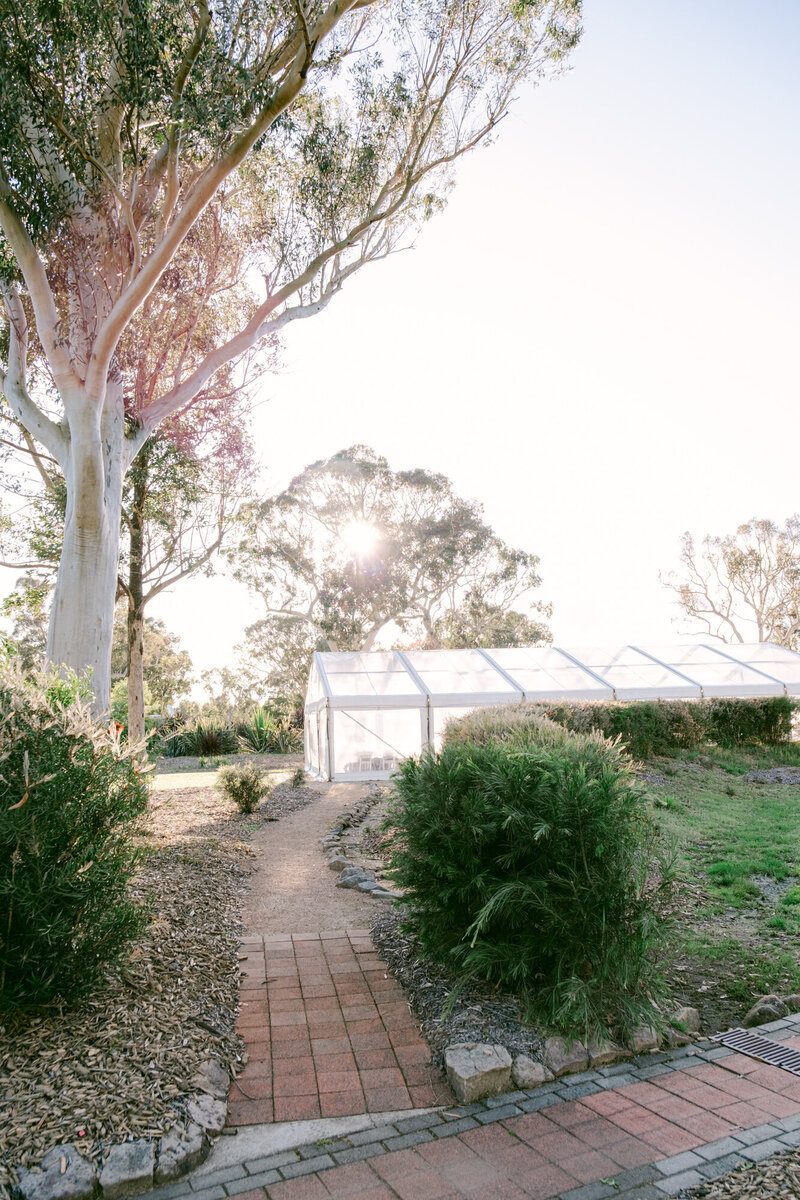 Southern Highlands White Luxury Country Olive Grove Wedding by Fine Art Film Australia Destination Wedding Photographer Sheri McMahon-77