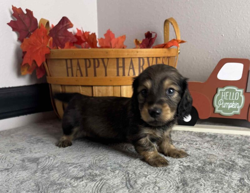 9930427a-b71c-4c17-8542-ea98f3821fd7