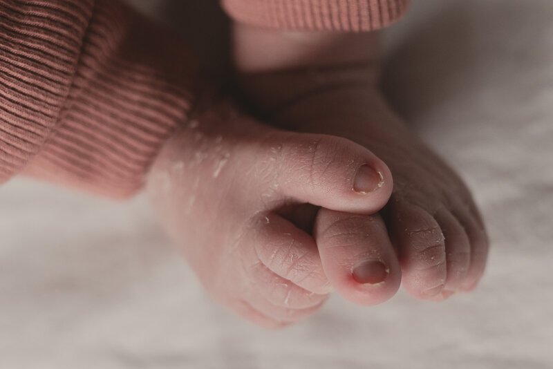 Een babymeisje tijdens de geposeerde newbornshoot door Evita Fotografie in de fotostudio in Zwartsluis. Roze achtergrond met haarband