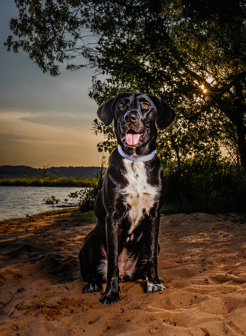 1C2A9280-Edit