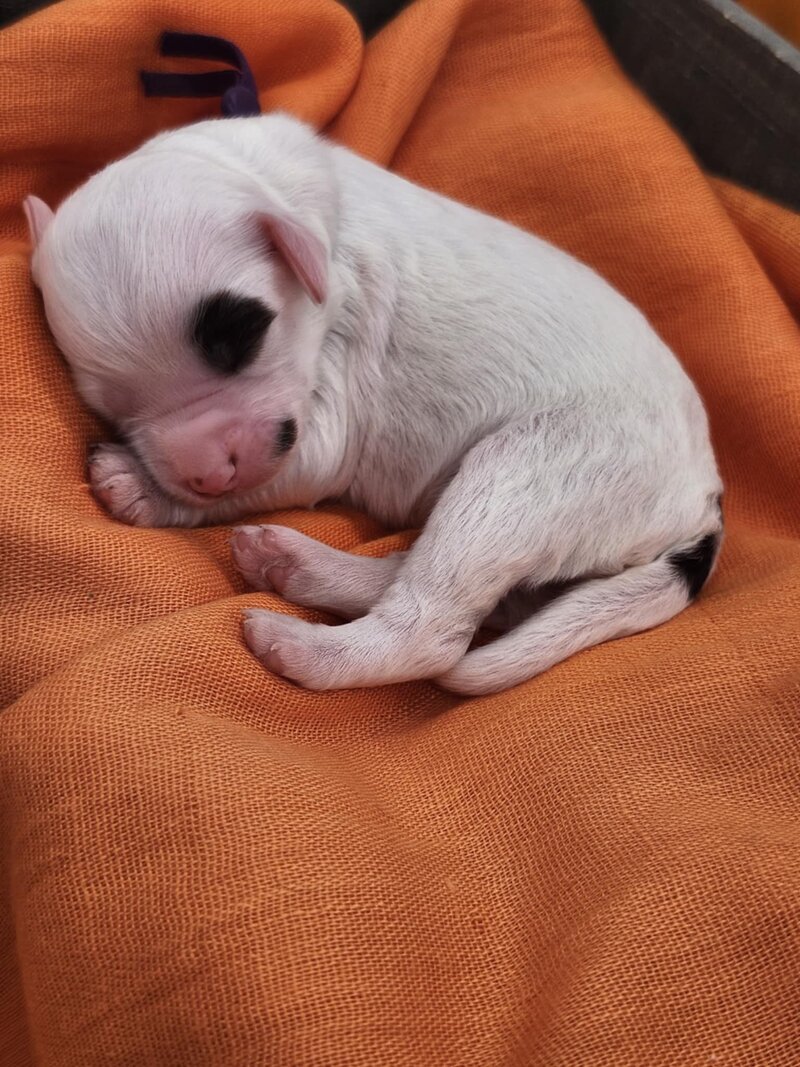 87c4eaf9-71f2-42d7-94a9-651e000a52a4