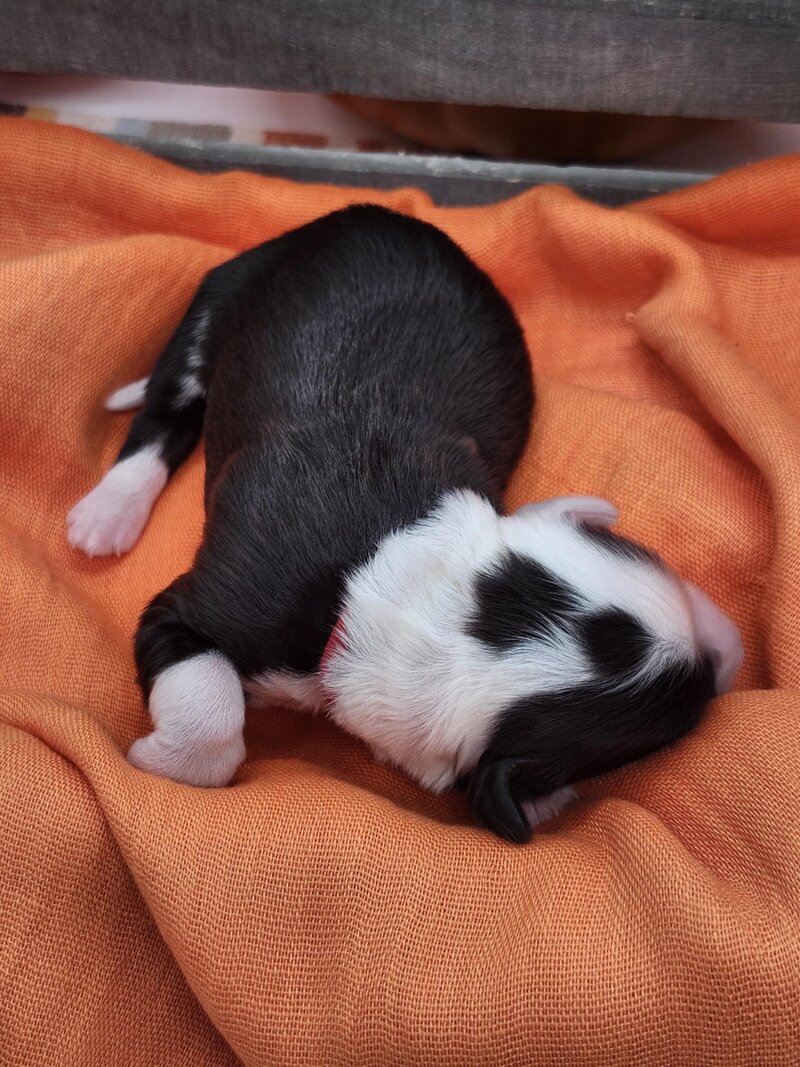 60bd5e46-dcdf-4529-892e-a5b5fcf3b07a