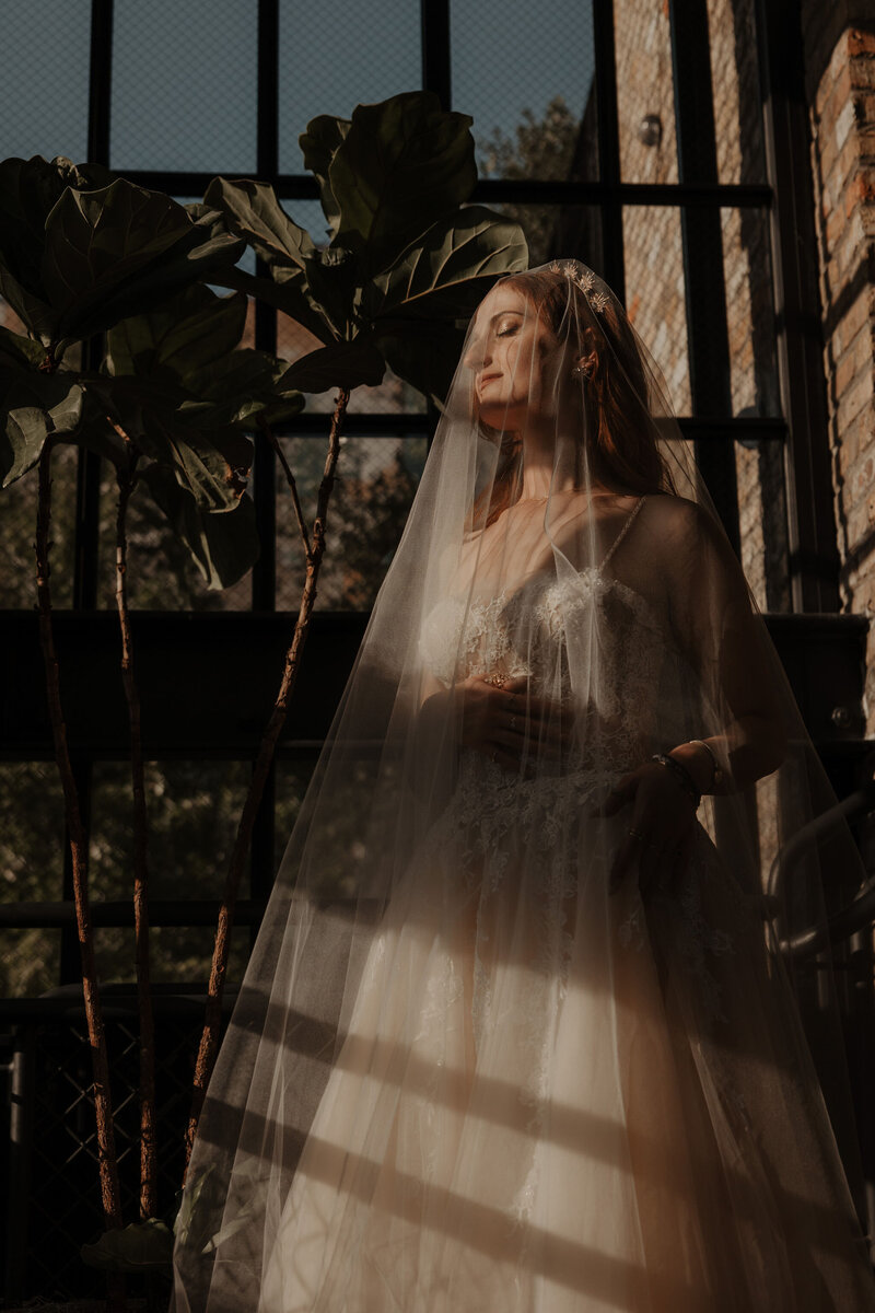 moody bridal portrait of bride behind her veil