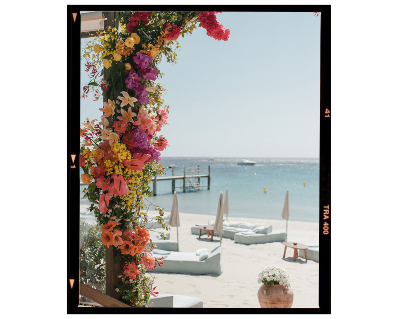 BC Film - Florals -2
