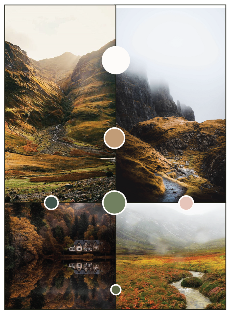 branding palette