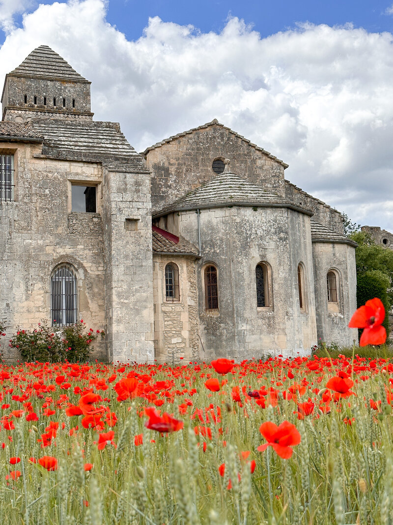 Saint Rémy de Provence Poppyfields at van Gogh monastery