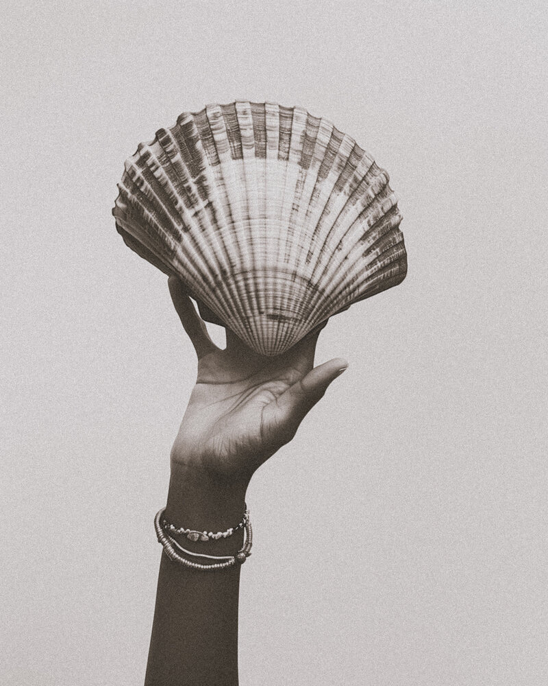 94a78e52-266d-4e73-849b-6da9017b6810